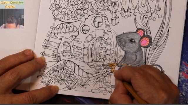 Adult Coloring Rita Berman w/ Pablos & Tuesday Morning Haul!!! смотреть онлайн