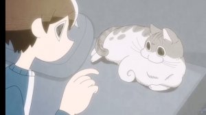 аниме (вечера с кошкой 2 сезон)