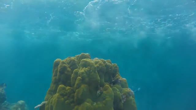 SNORKLING SEABIKE 2016 смотреть онлайн