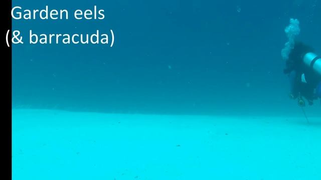 Fulidhoo, Maldives смотреть онлайн