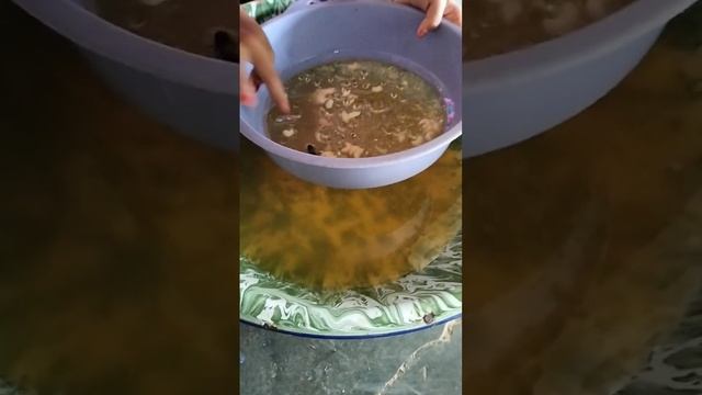 pure honey inn nature🤤🤤#trending #viral #shortsvideo #ytshorts #honey смотреть онлайн