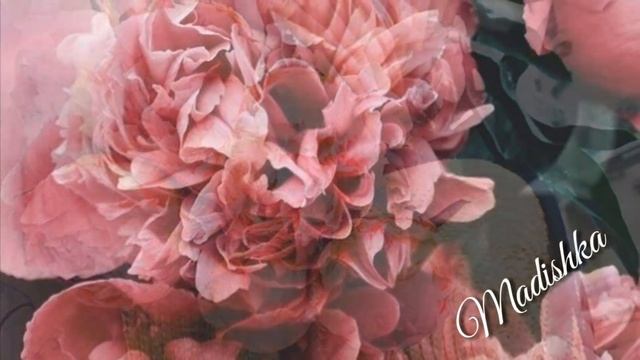 Четко Локх😍💣 Са Дагчура Хьо Д1авайнааа 😭💣💥 Зарета Хаджаева 2018 смотреть онлайн