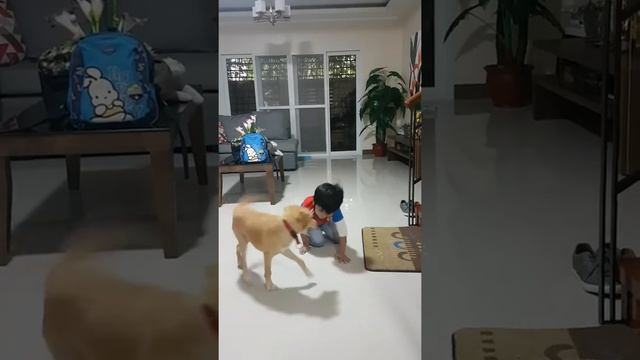 Raider Vander, a dog Lover. смотреть онлайн