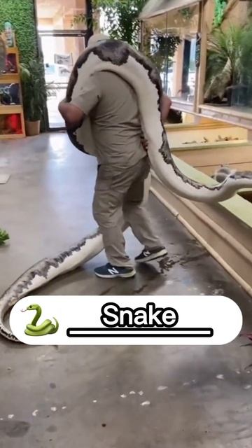 What’s your ENGLISH level? 🇬🇧 #shorts смотреть онлайн