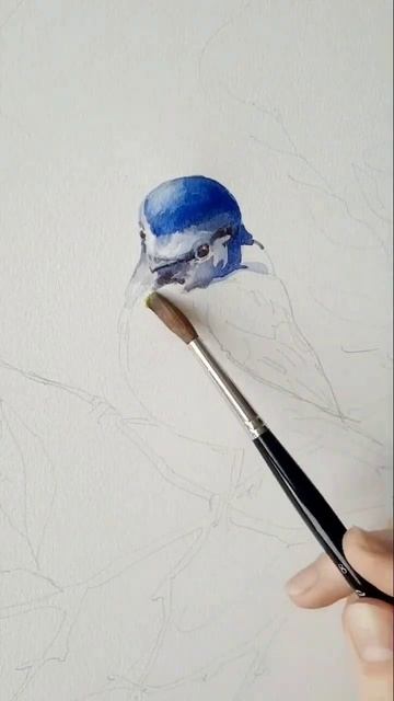 Blue tit #birdpainting #bird #birds #art #animalart #birdslover #drawing смотреть онлайн