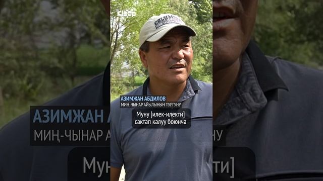 Баткендин Миң-Чынар айылын Кызыл китепке кирген ак илек-илектер байырлап жатат смотреть онлайн