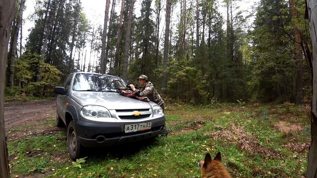 Охота на глухаря/утку/ Пристрелка СКС/Рация баофенг!!! смотреть онлайн
