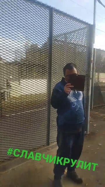 #заяц #слава #славароссии смотреть онлайн