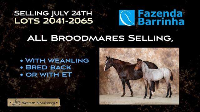 Fazenda Barrinha Special Dispersal Session -July 24th смотреть онлайн