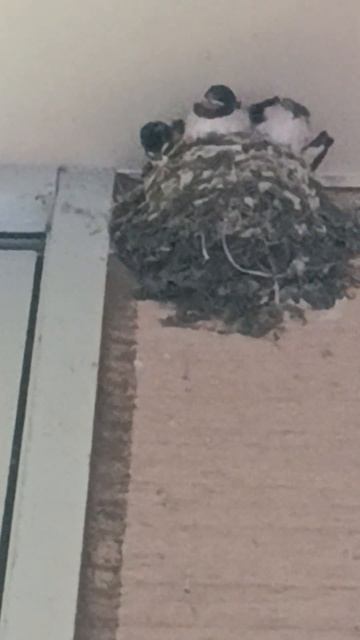 2024年7月19日 смотреть онлайн