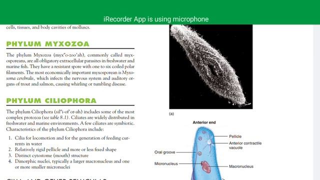 First Semester Zoology chapter 2 lecture 4 смотреть онлайн