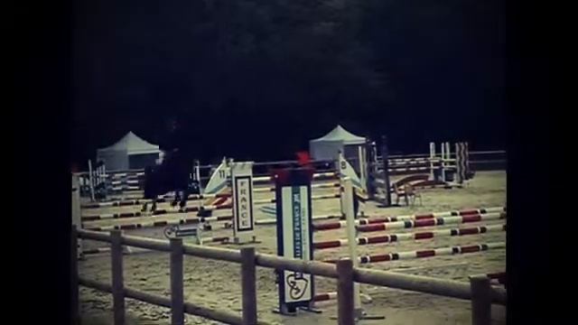 Akitos nonius 46 GP 120 смотреть онлайн