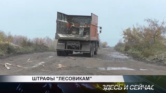штрафы лесовикам смотреть онлайн