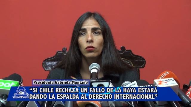Montaño: “Si Chile rechaza un fallo de La Haya estará dando la espalda al derecho internacional” смотреть онлайн