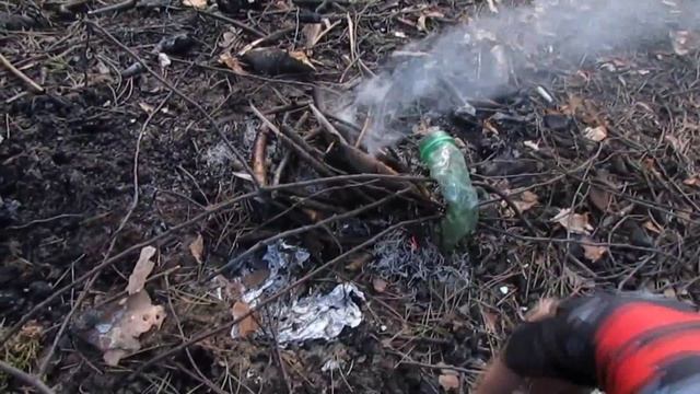 ЛЕСНАЯ ДИЧЬ смотреть онлайн