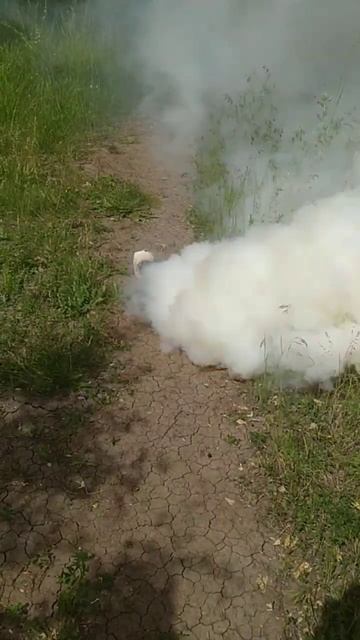 ДЫМОВУХА ИЗ СИЛИТРЫ И ОПИЛОК смотреть онлайн