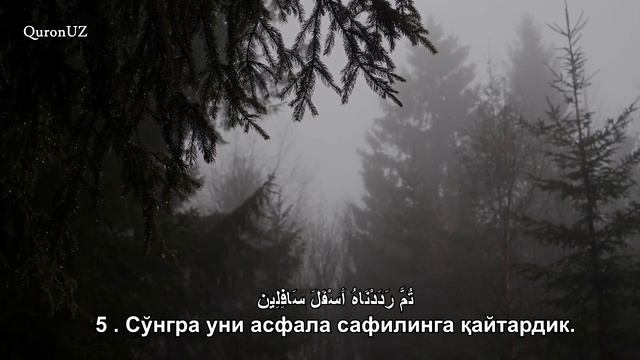 Махди Шишани - Тийн сураси смотреть онлайн