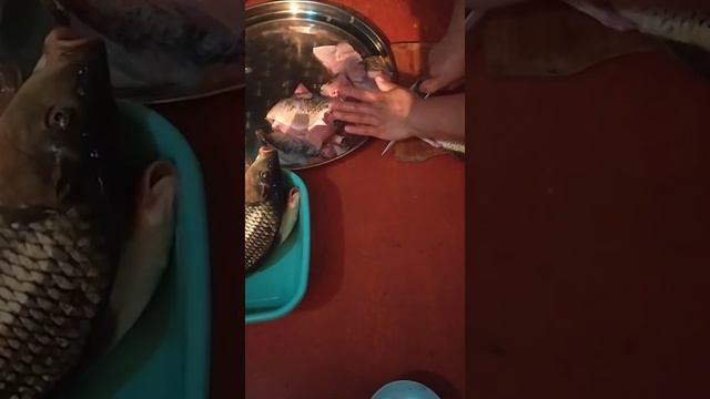 BALIQ TUTDUQ/ BALIQ QIZARTMASI VƏ HAZIRLANMASI / смотреть онлайн