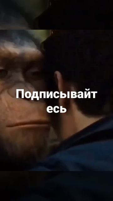 Джавид Озвучка #джавид #озвучка #Shorts смотреть онлайн