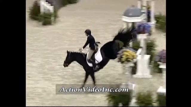 2010 WIHS Amateur Owner Jumper - Friday смотреть онлайн
