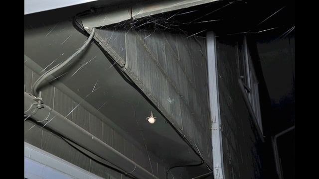 Cross Spider Time Lapse смотреть онлайн