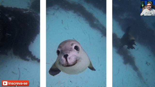 3D SEM ÓCULOS смотреть онлайн