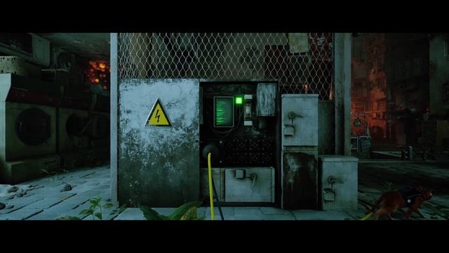 о чем был Stray? (пися попа) смотреть онлайн