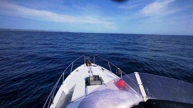 Баренцево море. В поисках китов смотреть онлайн