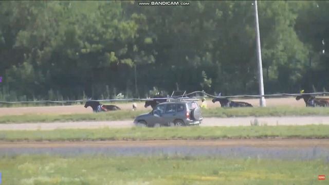 5.07.2024г.Раменский Ипподром Жеребцы и Кобылы рожд. в 2021г 1600м. смотреть онлайн