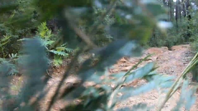 MONKEY GUM FAMOUS 4WD TRACK || DID WE ATTEMPT THIS TRACK UNLOCKED??? смотреть онлайн