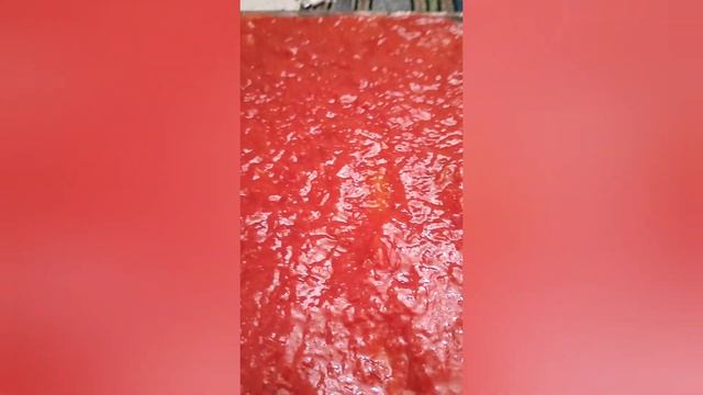 Animal Adventures Around The World