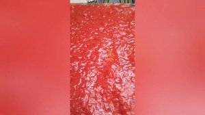Пастила из черешни