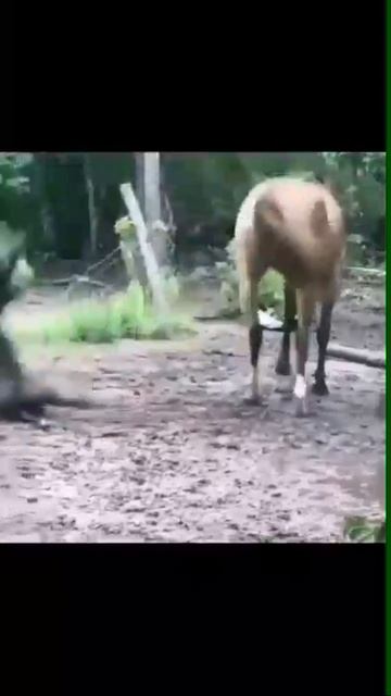 ЛЮБОВЬ смотреть онлайн