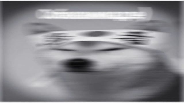 Кадры собак 1945 года в Японии🤩☝️☝️ смотреть онлайн