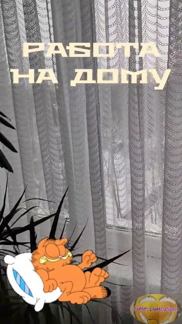 Объявление: работа… #shorts #приколы #юмор #россия #новости #москва #работа смотреть онлайн
