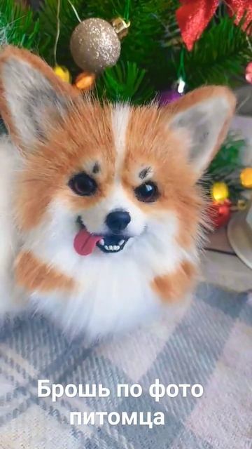 брошь по фото питомца #корги #брошь #брошьручнойработы #брошьпофото #брошьназаказ #брошьсобака смотреть онлайн