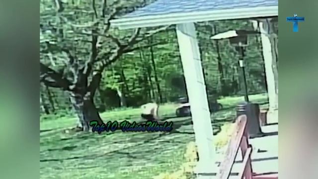 TOP 30 WEIRDEST THINGS EVER CAUGHT ON SECURITY CAMERAS AND CCTV! смотреть онлайн