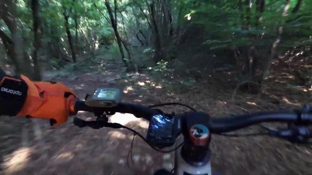 Focus sam2 2021 enduro смотреть онлайн