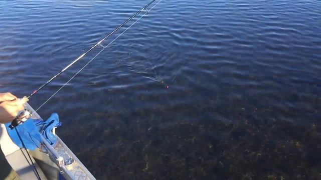 Рома ловит смотреть онлайн