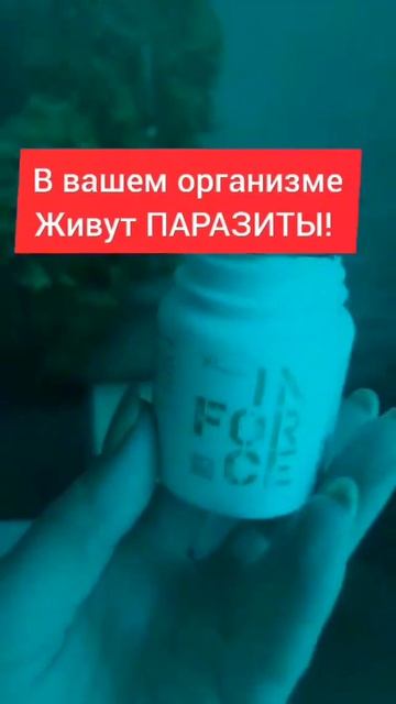 Против паразитов #паразиты #глисты #nrg #nrginternational #чистаякожа #прыщи #информация #пп #зож смотреть онлайн