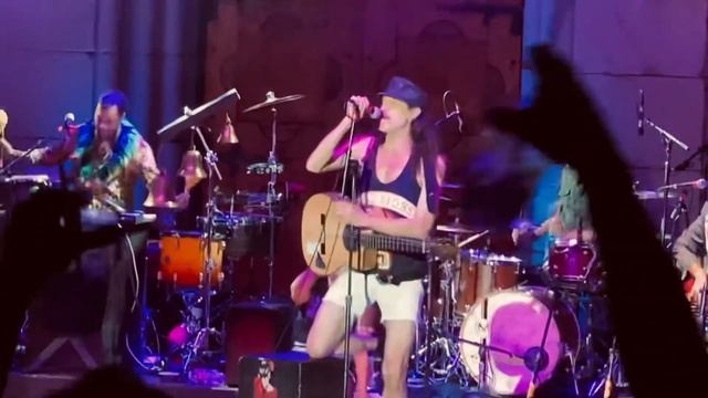 “Alcohol” By Gogol Bordello.