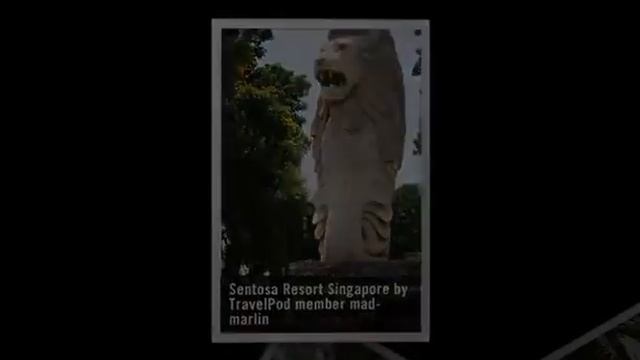 "Raffles Hotel & Sentosa Resort" Mad-marlin's photos around Singapore, Singapore (raffles blvd) смотреть онлайн