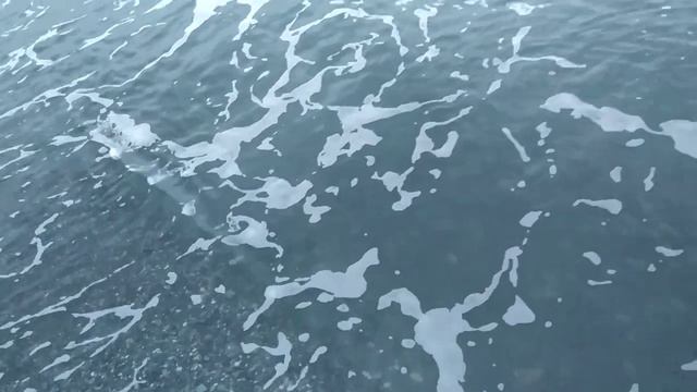 Адлер сегодня 03.03.2023 Пляж чайка смотреть онлайн