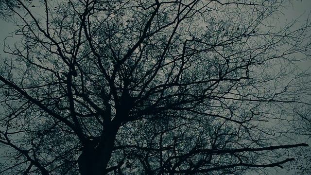 Bibio - Phantom Airfield смотреть онлайн