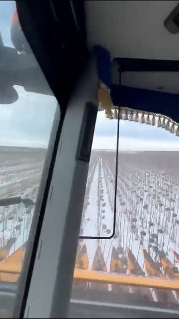 Еще немного зимней борки жаткой Санмастер нео #Shorts смотреть онлайн