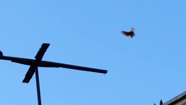 Изображение 024 смотреть онлайн