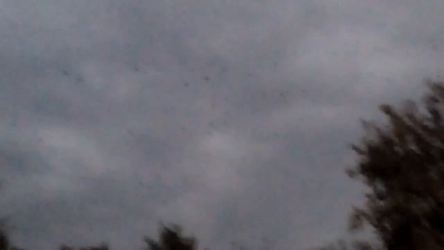 Вороны атакуют смотреть онлайн