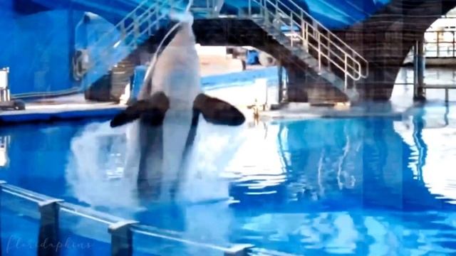 :: Memo from the past смотреть онлайн