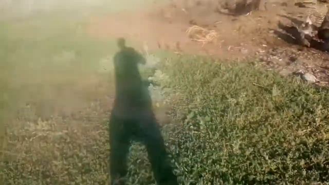 Телята и поросята смотреть онлайн