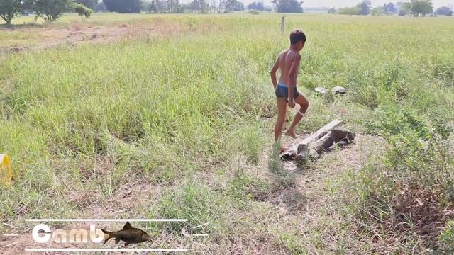 New Fishing Technique Trap - Smart Boy Make Fish Trap Using Wooden Cross With Knots | Cambo Trap смотреть онлайн